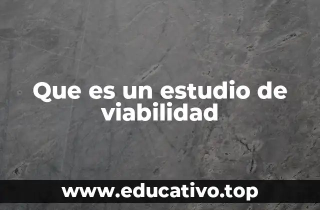Que es un estudio de viabilidad