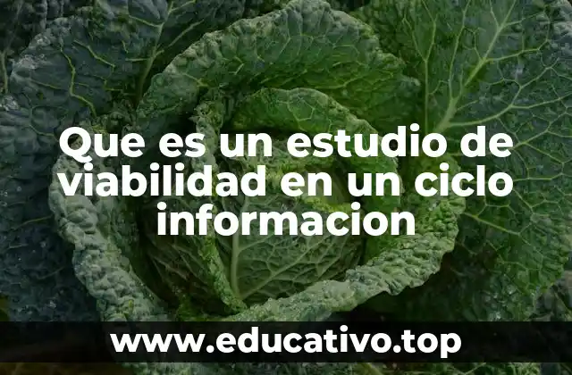 Que es un estudio de viabilidad en un ciclo informacion