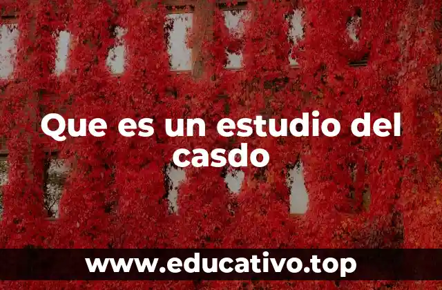 Que es un estudio del casdo