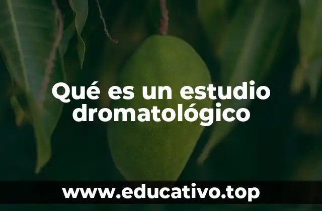 Qué es un estudio dromatológico