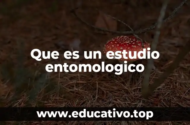 Que es un estudio entomologico
