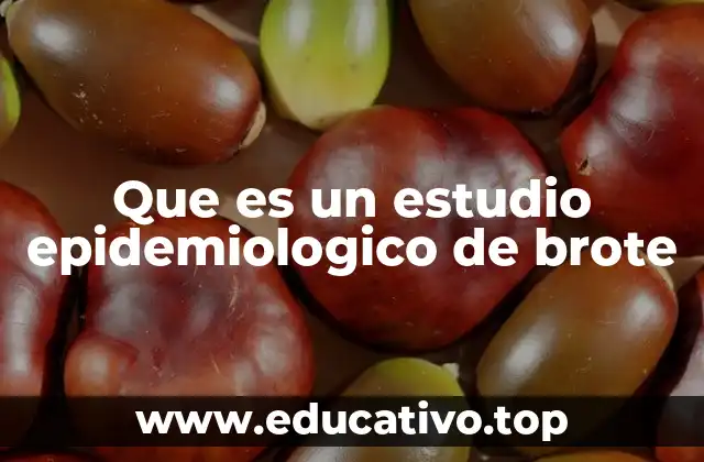 Que es un estudio epidemiologico de brote