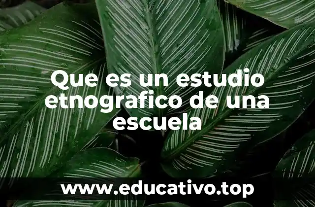 La observación como herramienta clave en el análisis educativo