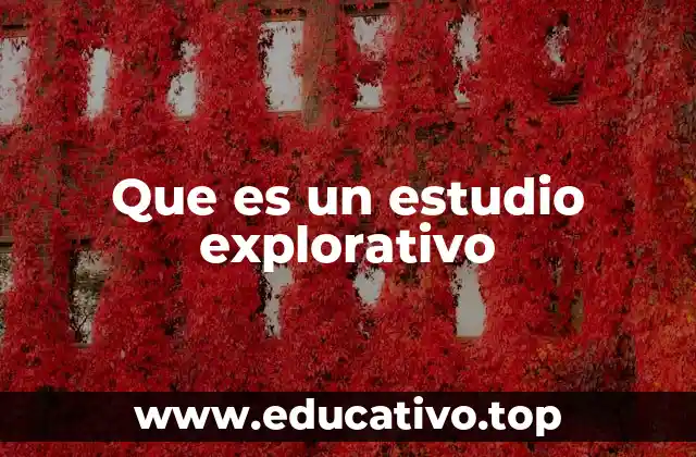 Que es un estudio explorativo