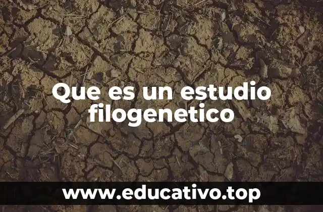 La evolución de los organismos y sus relaciones