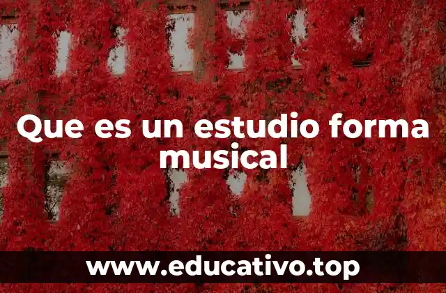 La importancia de la estructura en los estudios musicales