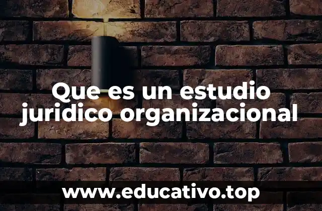 Que es un estudio juridico organizacional