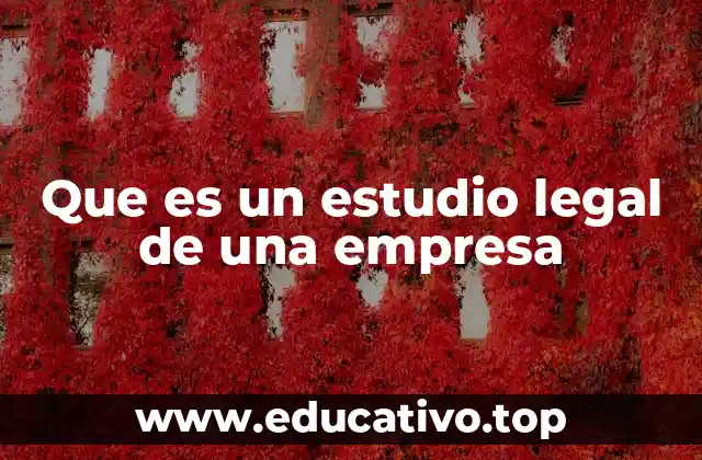 La importancia del análisis jurídico en el desarrollo empresarial