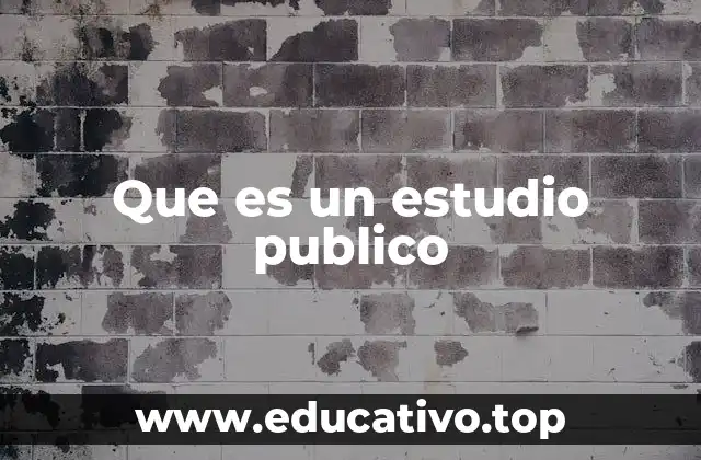 Que es un estudio publico
