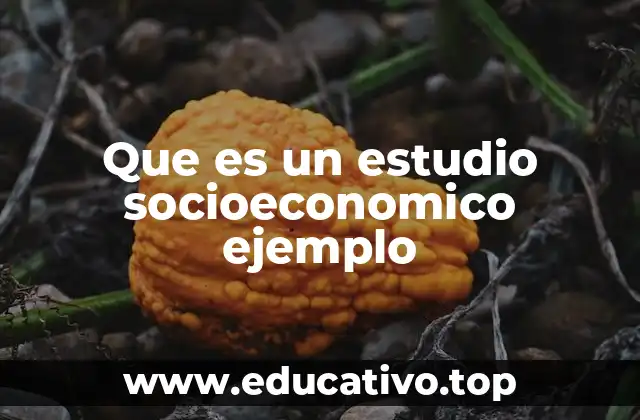 Que es un estudio socioeconomico ejemplo