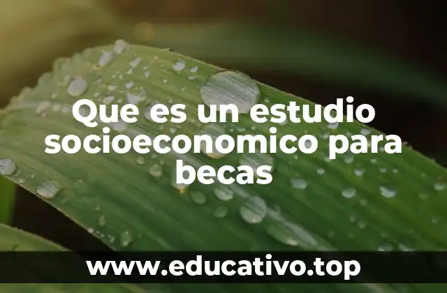 Que es un estudio socioeconomico para becas