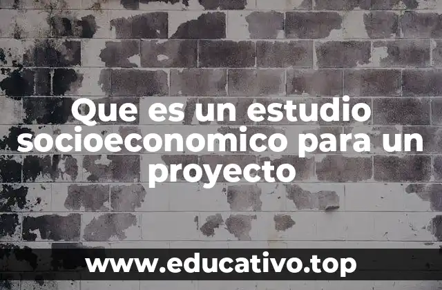 Que es un estudio socioeconomico para un proyecto