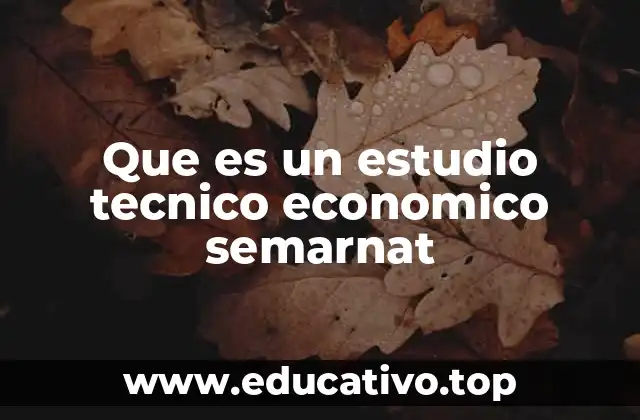 Que es un estudio tecnico economico semarnat