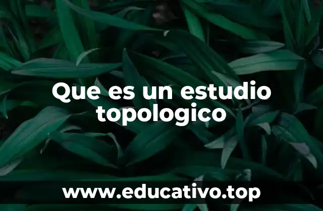 Que es un estudio topologico
