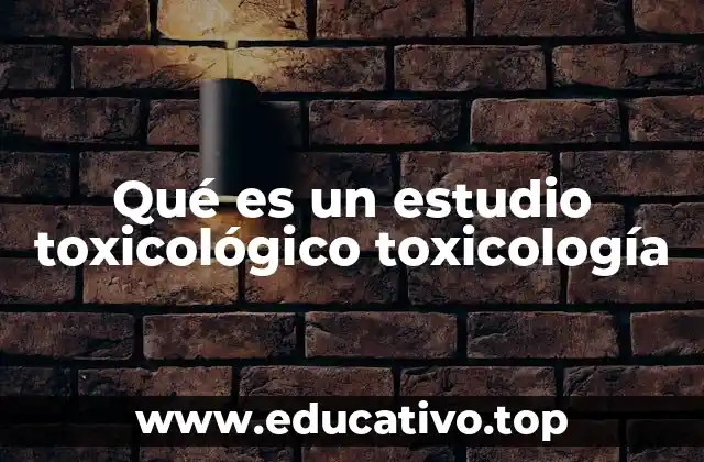 Qué es un estudio toxicológico toxicología