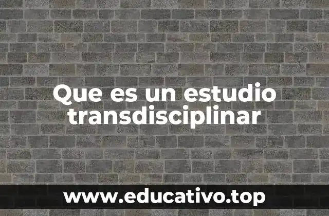 Que es un estudio transdisciplinar
