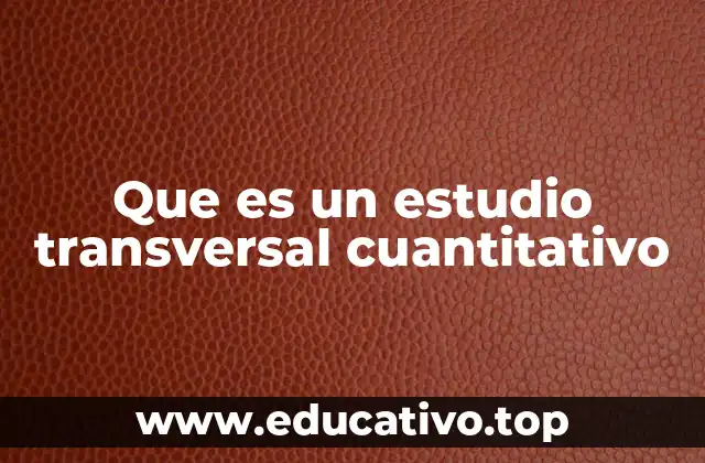 Que es un estudio transversal cuantitativo