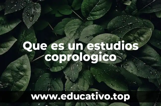 Que es un estudios coprologico