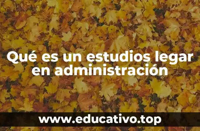 La importancia de la formación en gestión empresarial