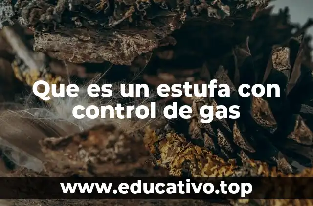 Que es un estufa con control de gas