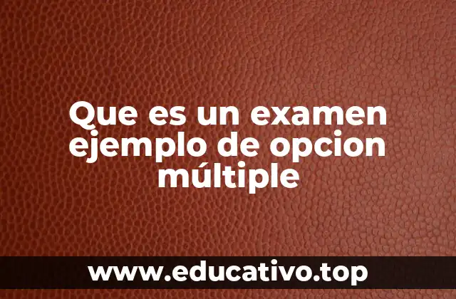 Que es un examen ejemplo de opcion múltiple