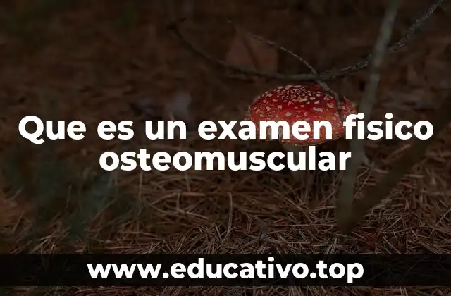 El papel del examen físico en la detección de trastornos musculoesqueléticos