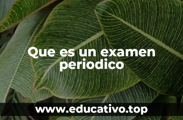 Que es un examen periodico
