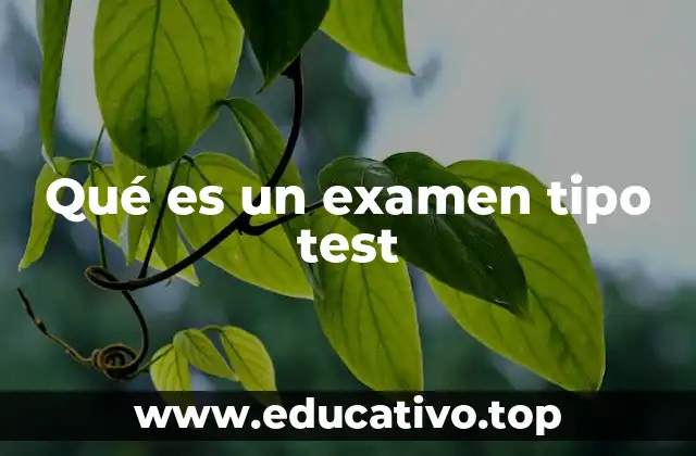Qué es un examen tipo test