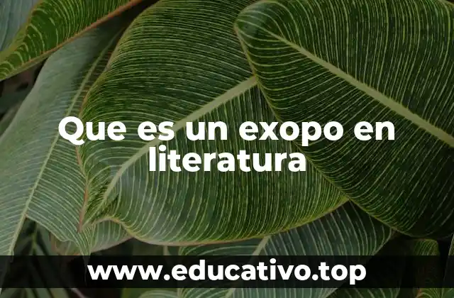 Que es un exopo en literatura