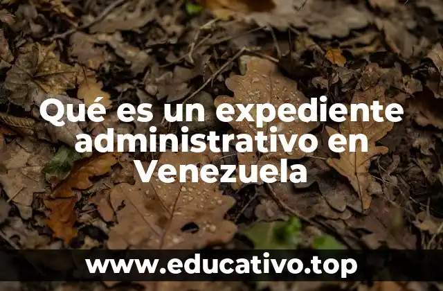 Qué es un expediente administrativo en Venezuela