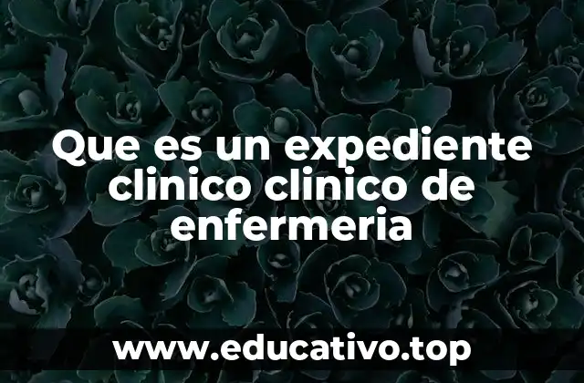 Que es un expediente clinico clinico de enfermeria