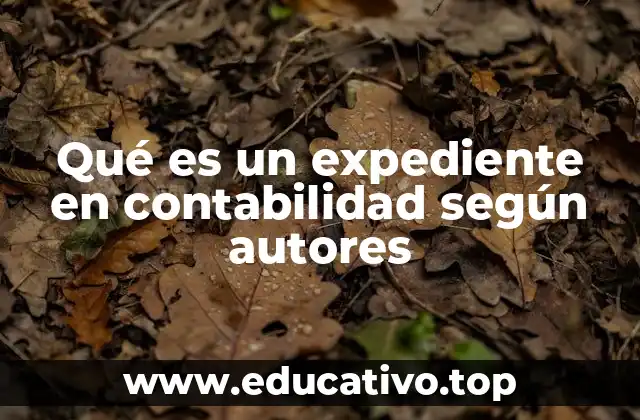 Qué es un expediente en contabilidad según autores