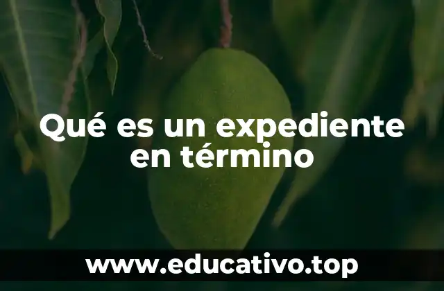 Qué es un expediente en término