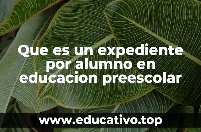 Que es un expediente por alumno en educacion preescolar