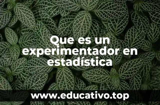 Que es un experimentador en estadística