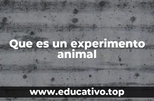 Que es un experimento animal