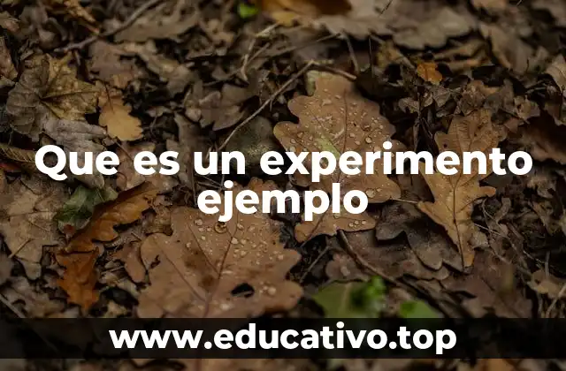 Que es un experimento ejemplo