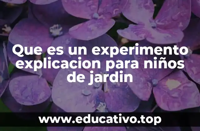 Cómo los niños pueden aprender con experimentos