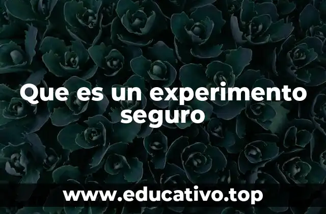 Que es un experimento seguro