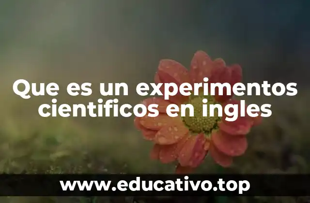 Que es un experimentos cientificos en ingles