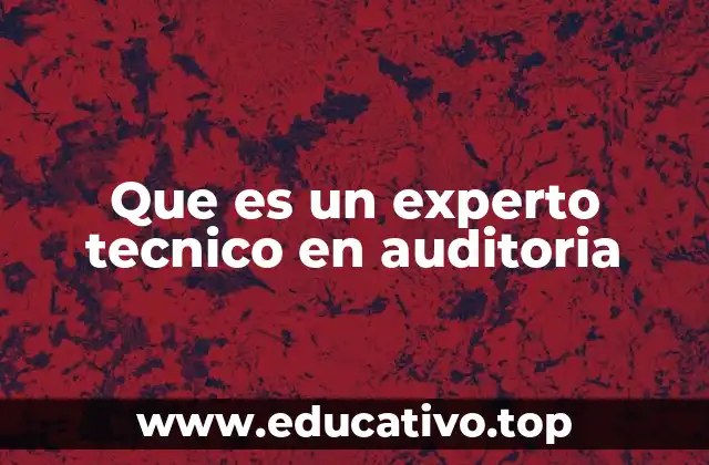 Que es un experto tecnico en auditoria