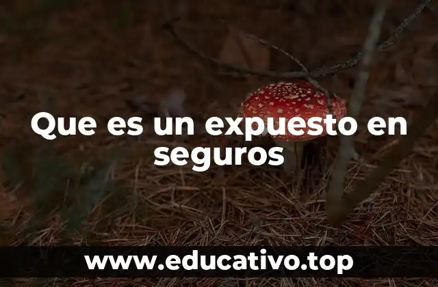 Que es un expuesto en seguros