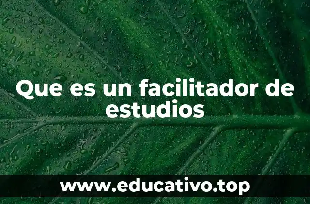 Que es un facilitador de estudios