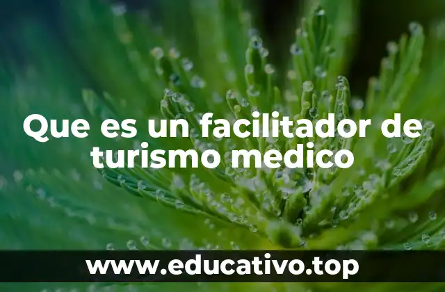 Que es un facilitador de turismo medico
