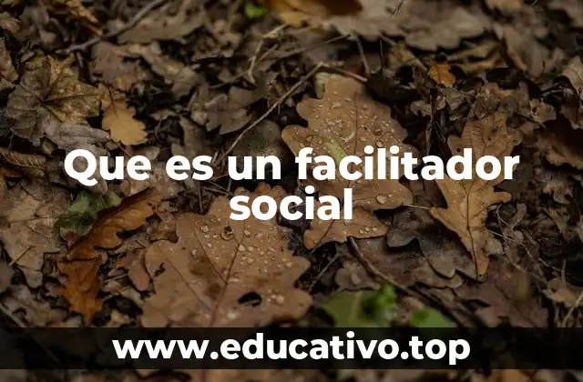Que es un facilitador social