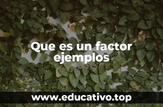 Que es un factor ejemplos
