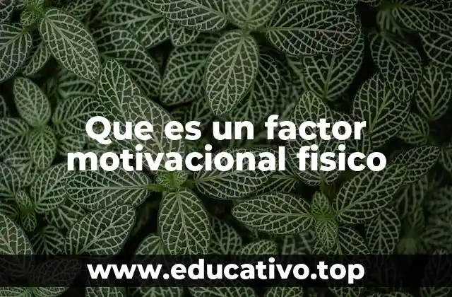 Que es un factor motivacional fisico