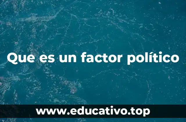 Que es un factor político