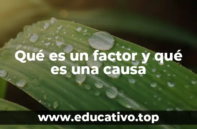 Qué es un factor y qué es una causa