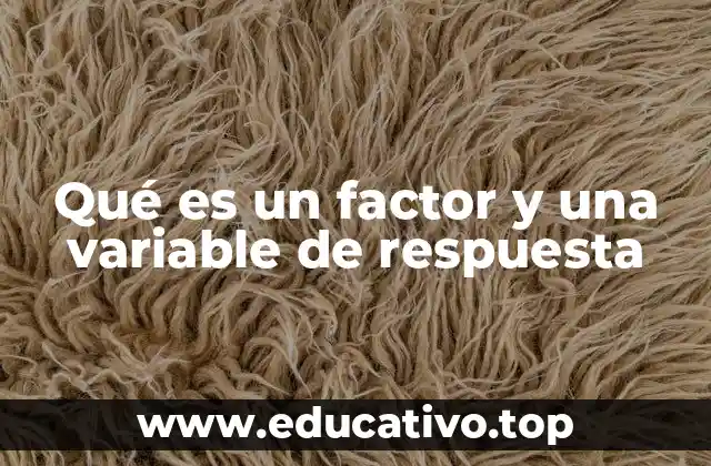 Qué es un factor y una variable de respuesta